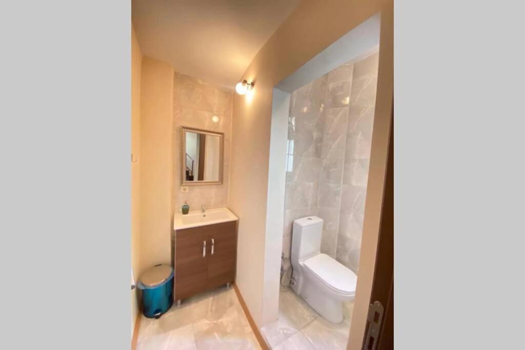 Duplex Suite Sultanahmet Istanbulská provincie Exteriér fotografie